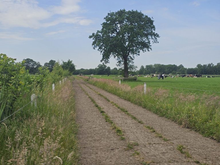 agroforestry overijssel 20260529 102759